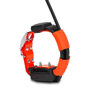 Dogtrace DOG GPS X25T - Collare aggiuntivo